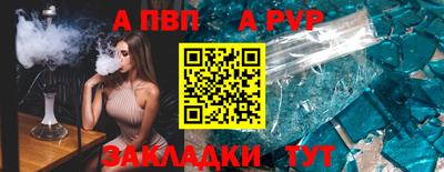 гашик Кингисепп