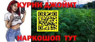 гашик Кингисепп