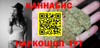 гашик Кингисепп