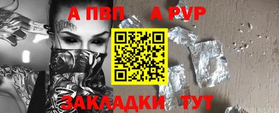 гашик Кингисепп