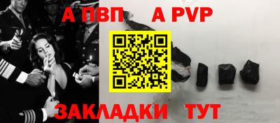 гашик Кингисепп