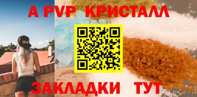 гашик Кингисепп
