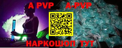 гашик Кингисепп