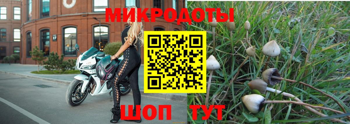 дарнет шоп  Вход с VPN  Качканар  Галлюциногенные грибы Psilocybe 